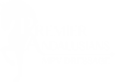 logo caballos 3 transparent